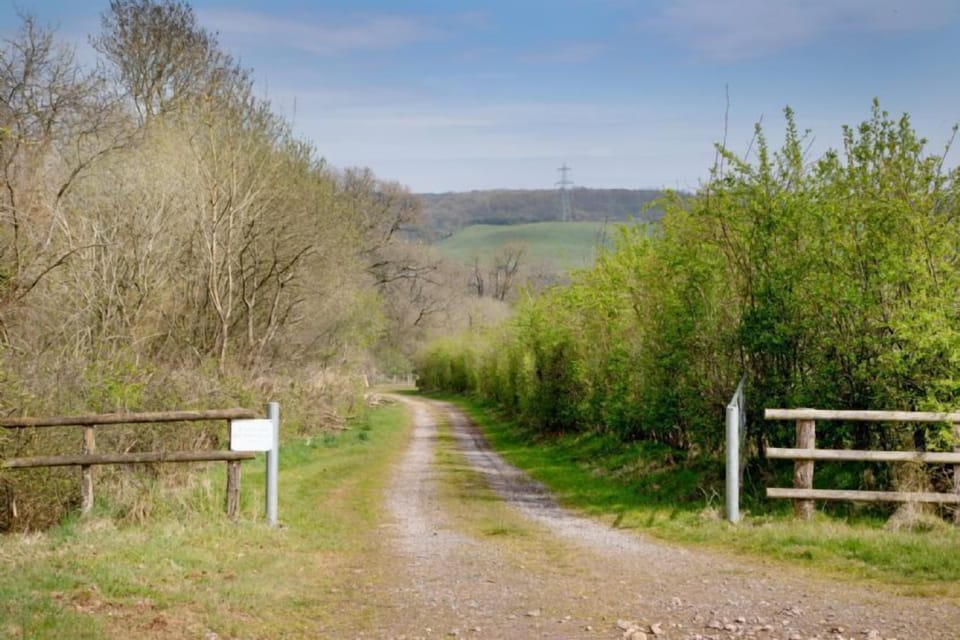 Entrance to Kittisford Barton - Lantern and Larks