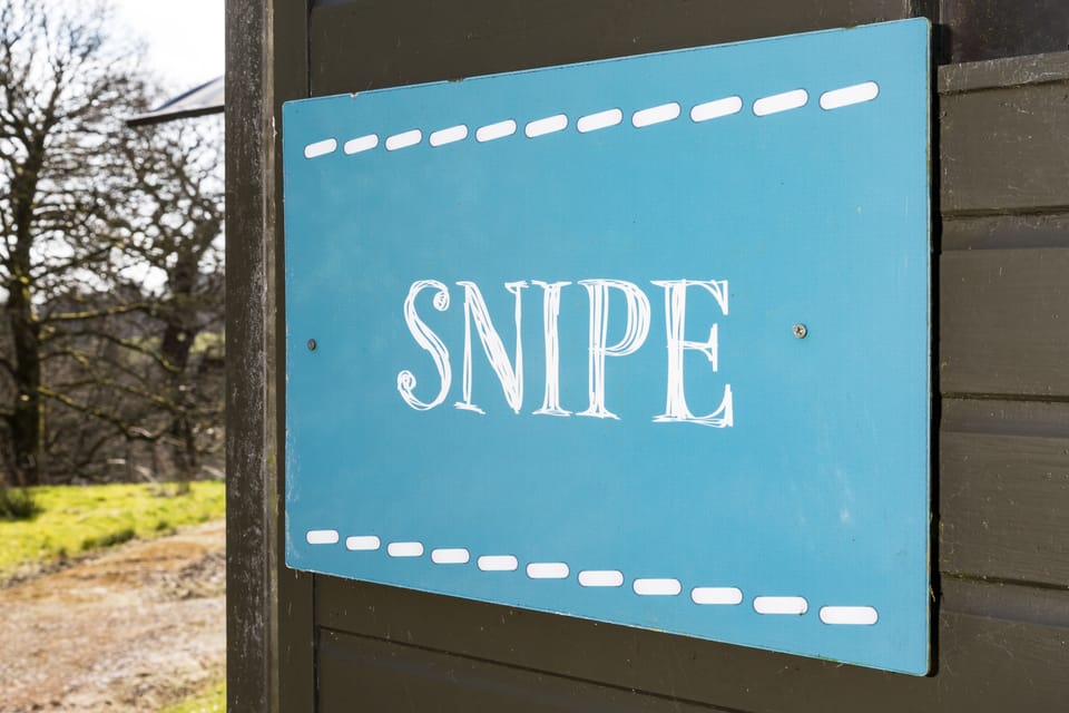 Snipe - Bleasdale