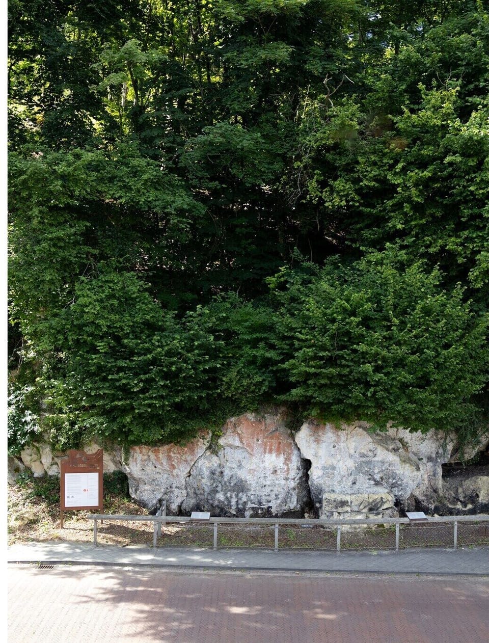 Garden [summer]