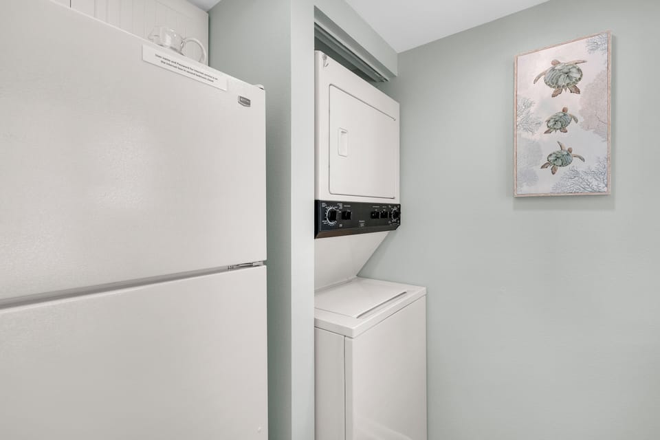 Washer and dryer in unit