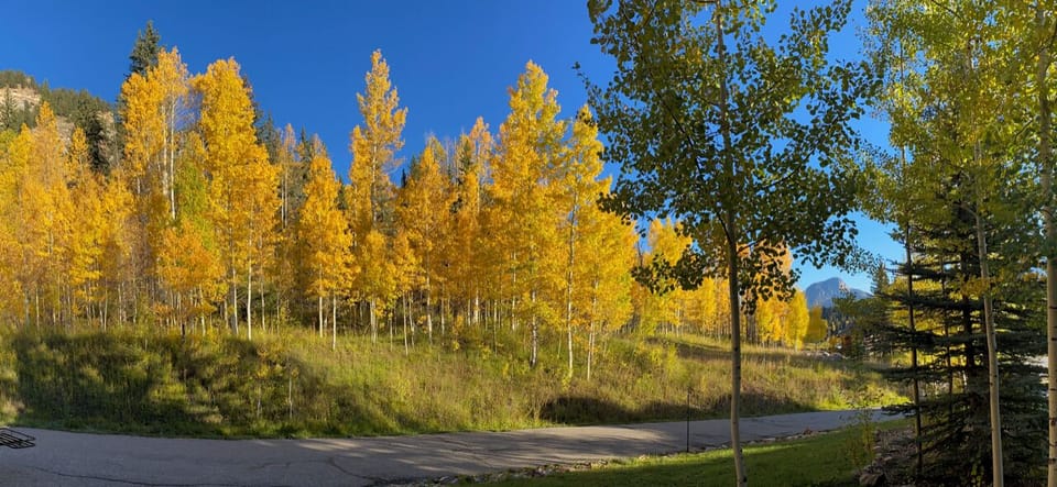 Fall Colors at Silverpick