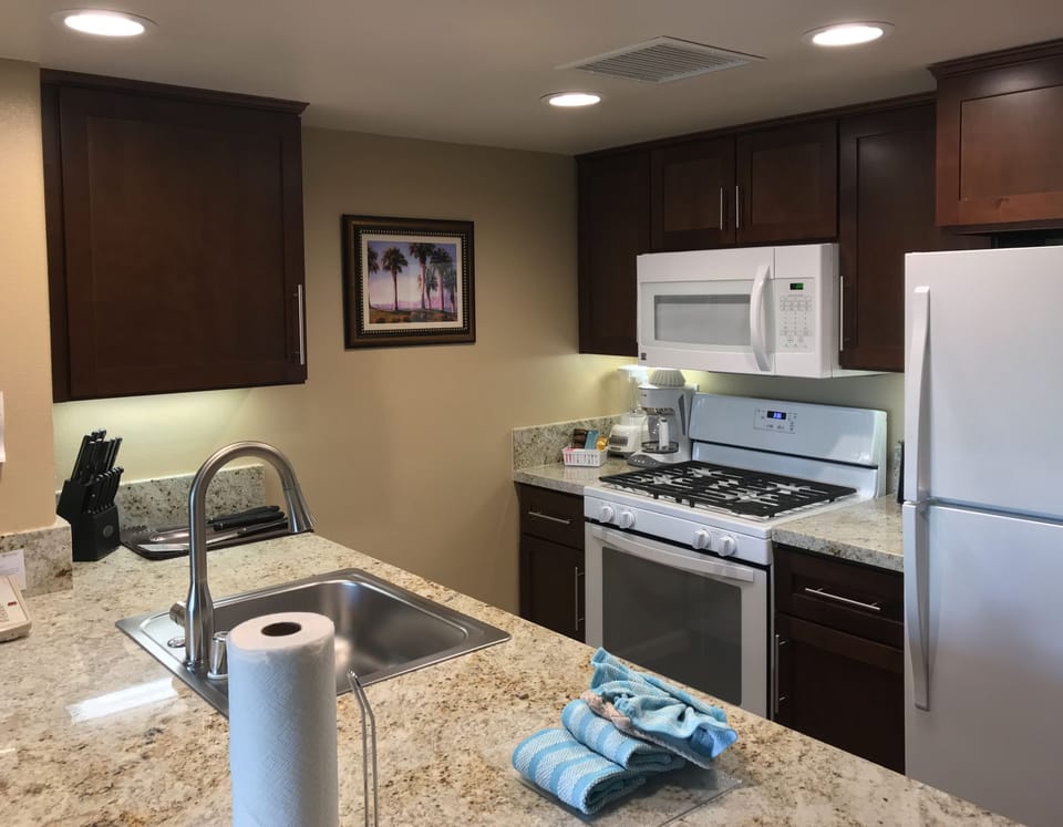Full-size fridge, microwave, oven, dishwasher