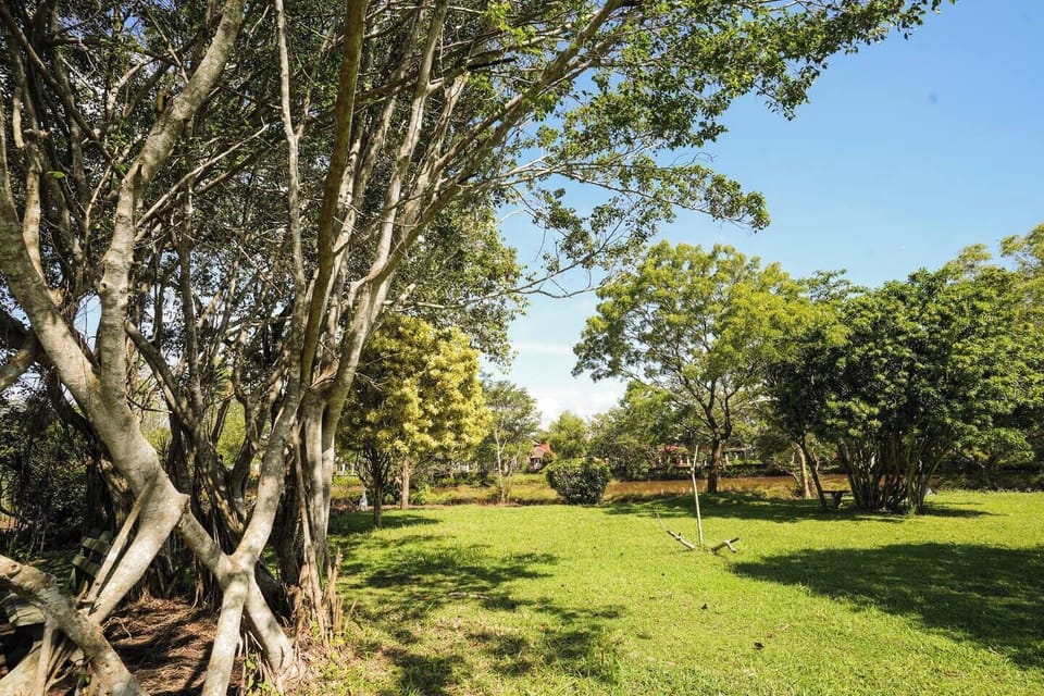 Garden area - common for all residence 
