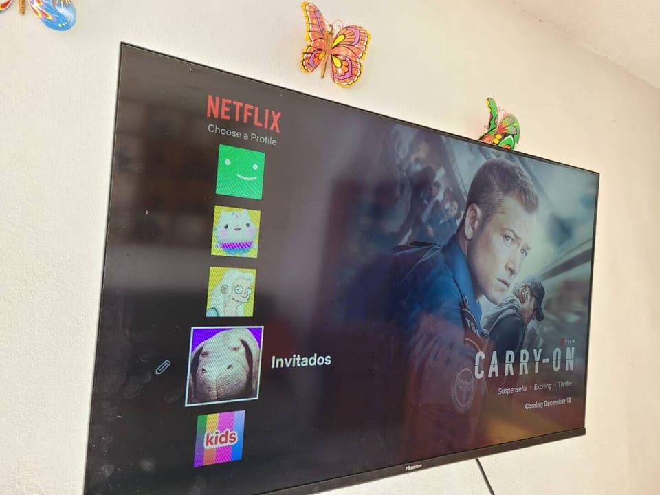 Television