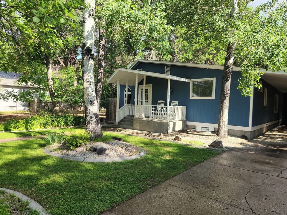 Front Yard