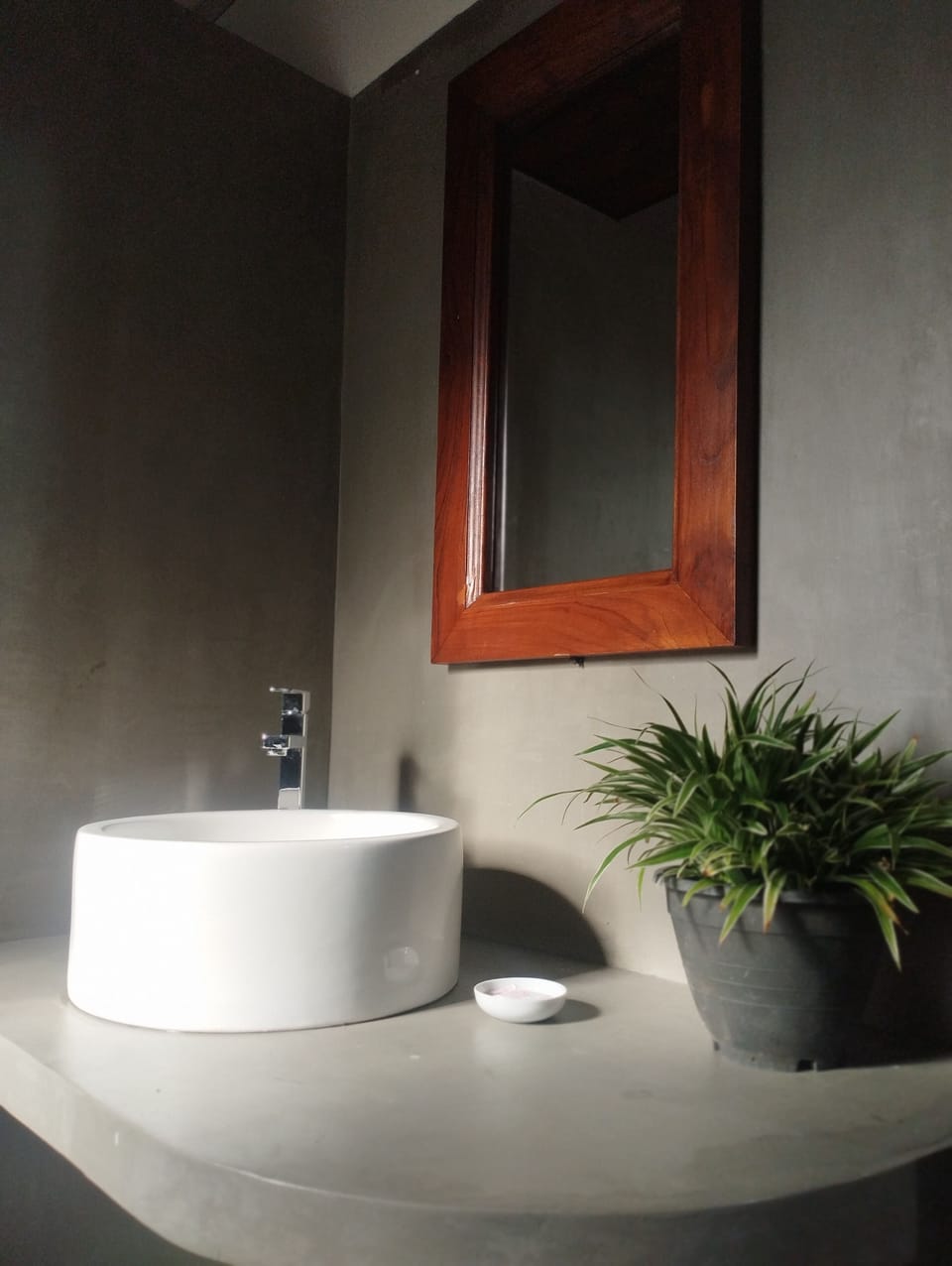 Shower, bidet, soap, shampoo