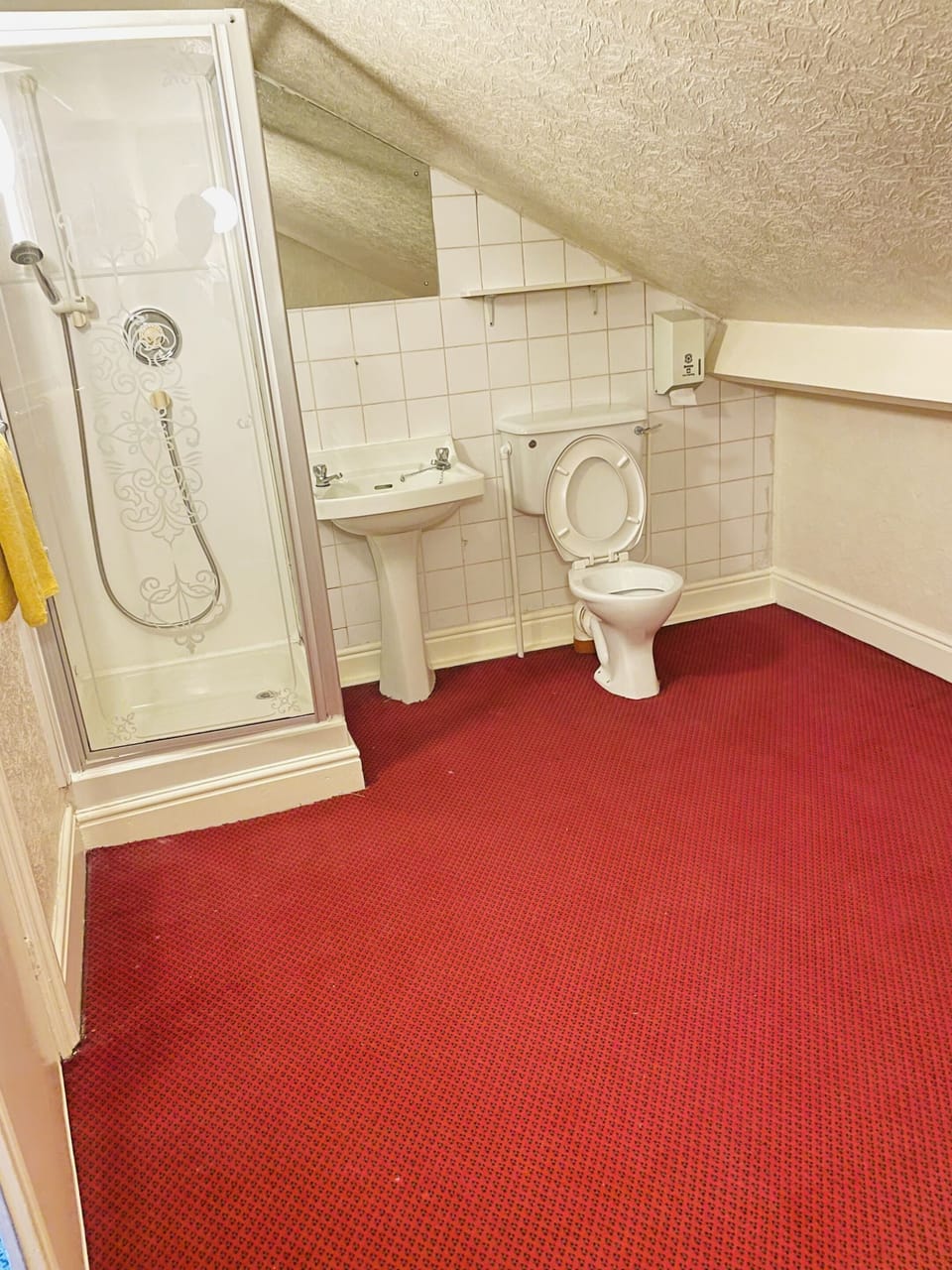 Hair dryer, towels, shampoo, toilet paper