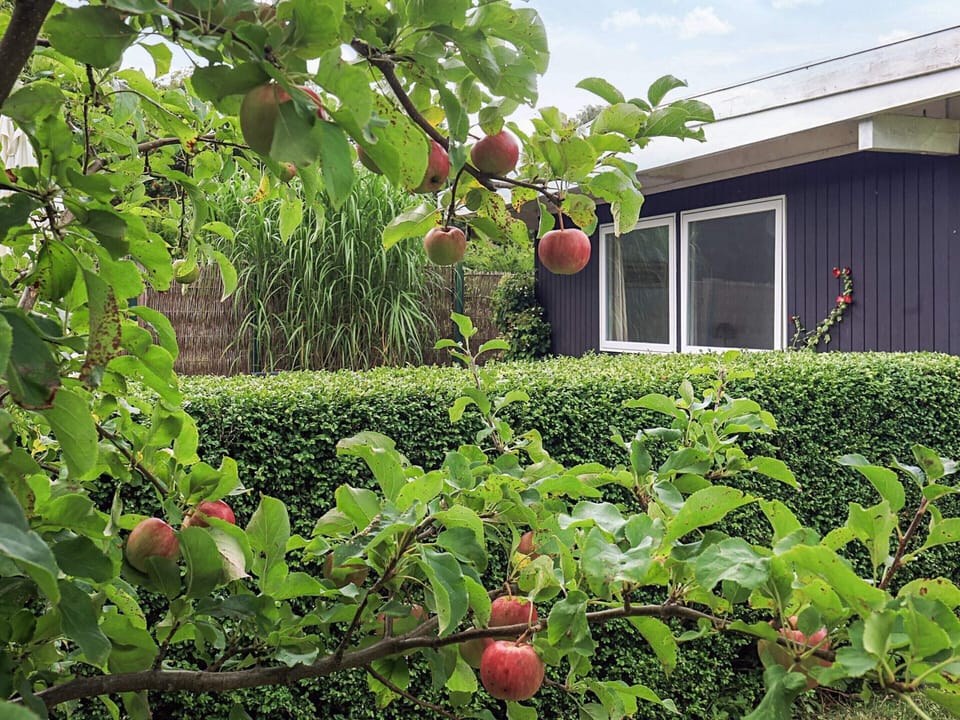 House | View from property