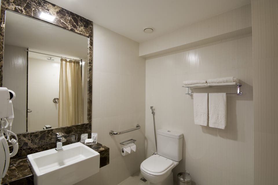 Double Room, Mobility Accessible | Bathroom amenities | Shower, rainfall showerhead, free toiletries, hair dryer