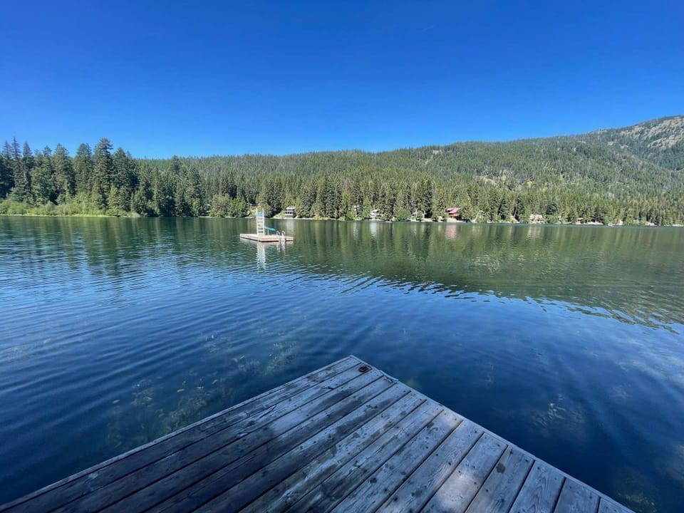 The swim dock and slide.