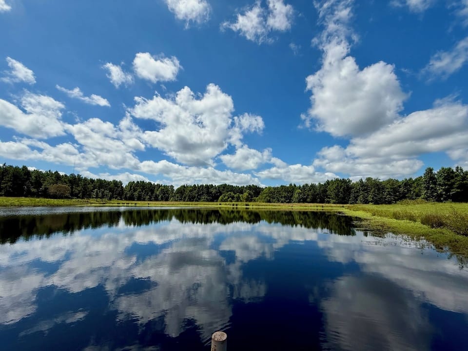 Peaceful mornings on your private stocked pond surrounded by pines.