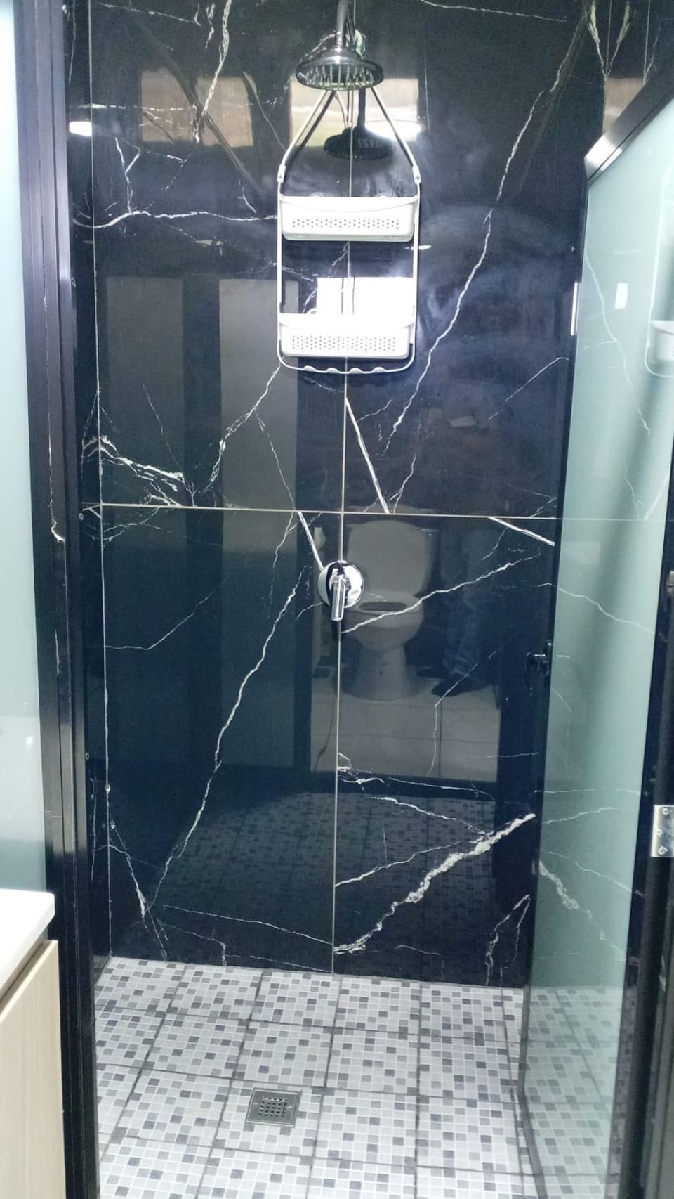 Soap, shampoo, toilet paper