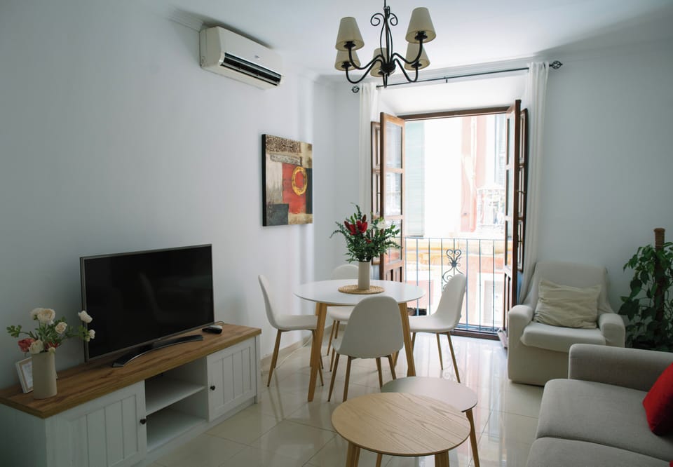 Flat-screen TV
