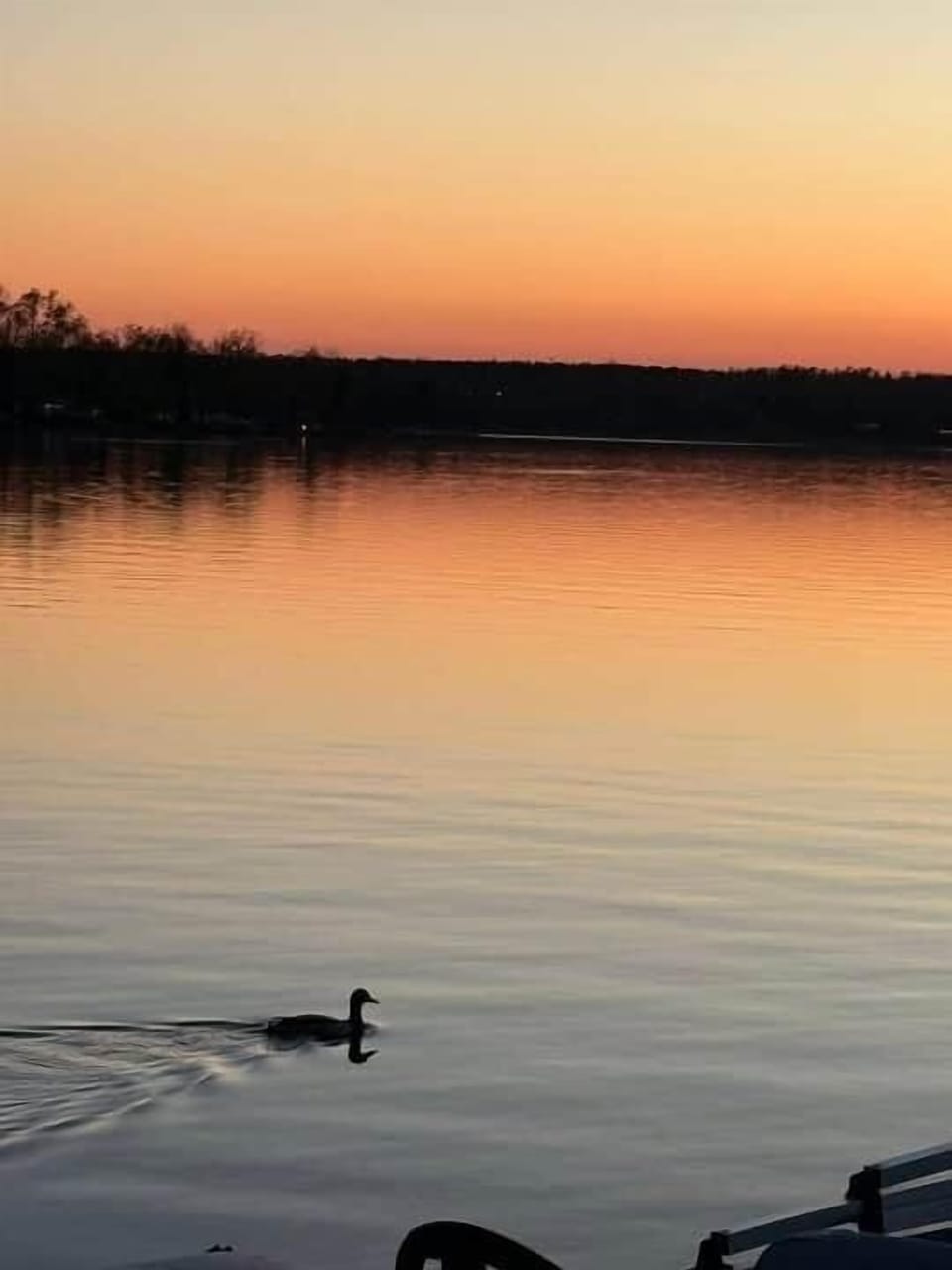 Beautiful sunset 