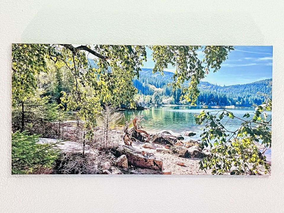 Nature, Natural Landscape, Wilderness, Landscape, Bank, Lake, Forest, River, Painting