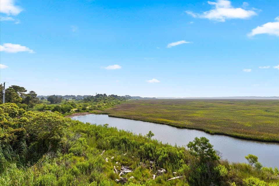 Watch abundant Wildlife in the Marsh - Herons, Eagles, Egrets, and more.