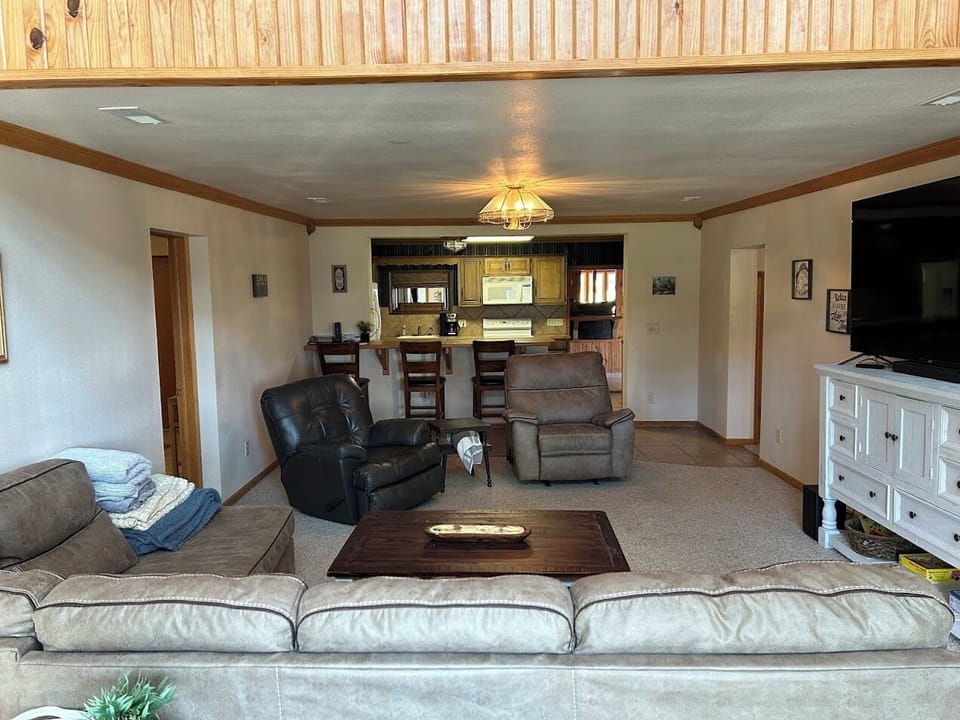 Living Room seating 4