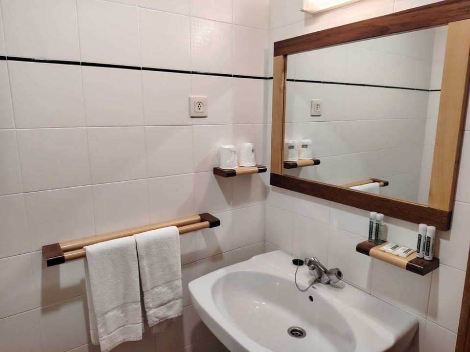Basic Double or Twin Room, Mountain View | Down comforters, bed sheets