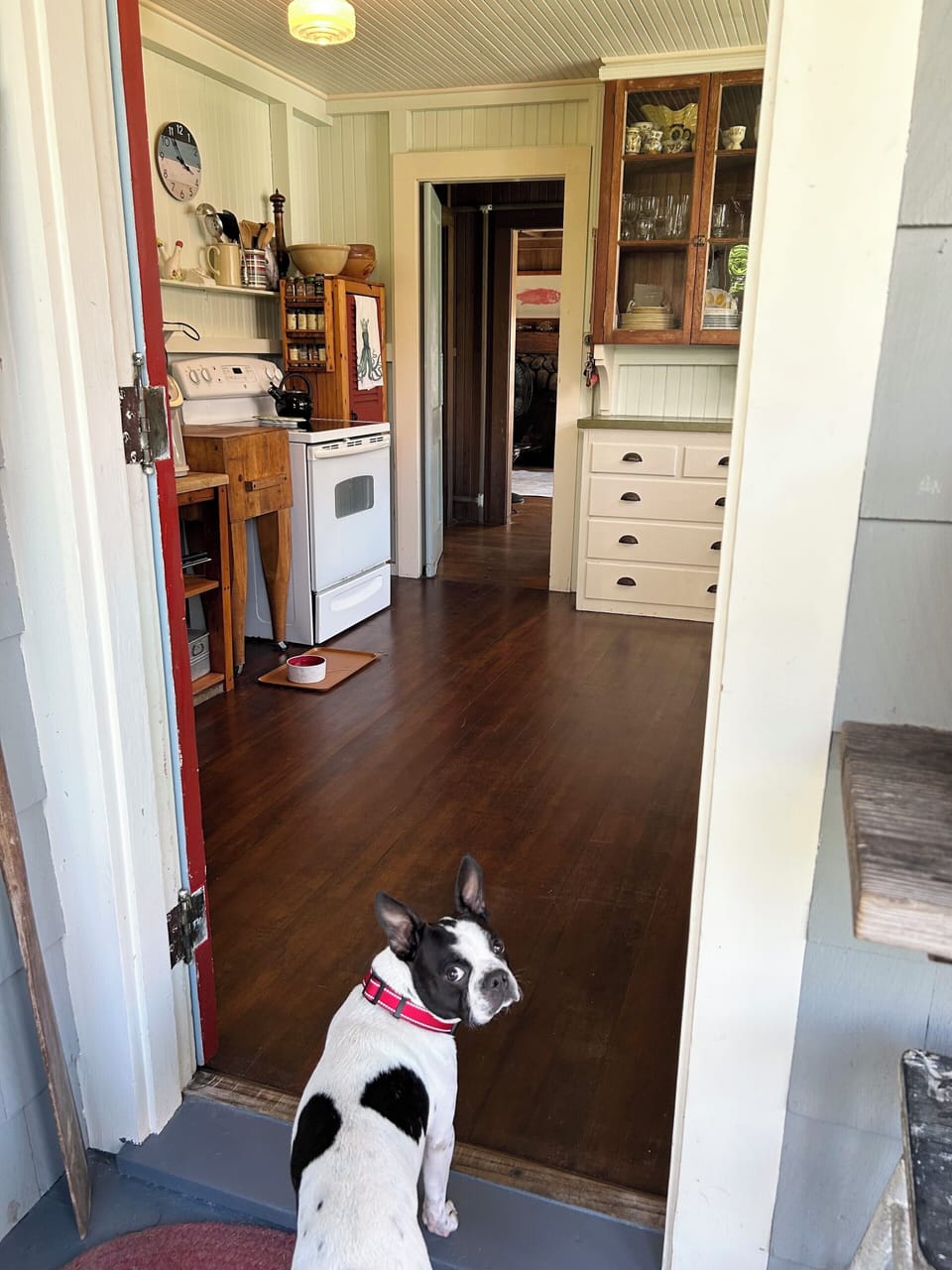 Kitchen (& Romeo)!
