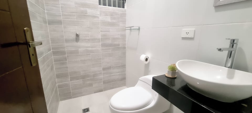 Shower, towels, soap, toilet paper