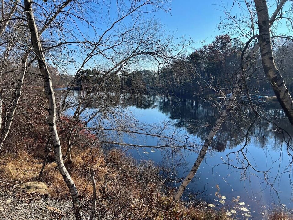 Near Pine Tree Beach & Lake with picnic area, water craft rentals, volleyball, fishing area, and playground! Must purchase passes to use. Island welcomes pets in the early morning hours.