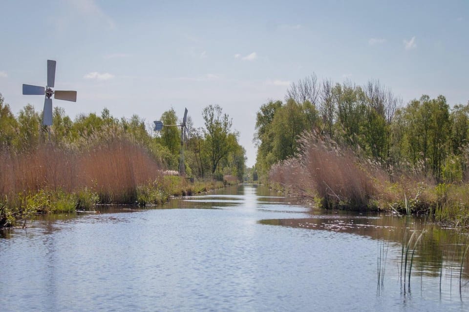 Surroundings [summer] (1-5 km)