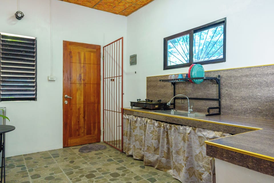 Basic Apartment, Patio | Private kitchen