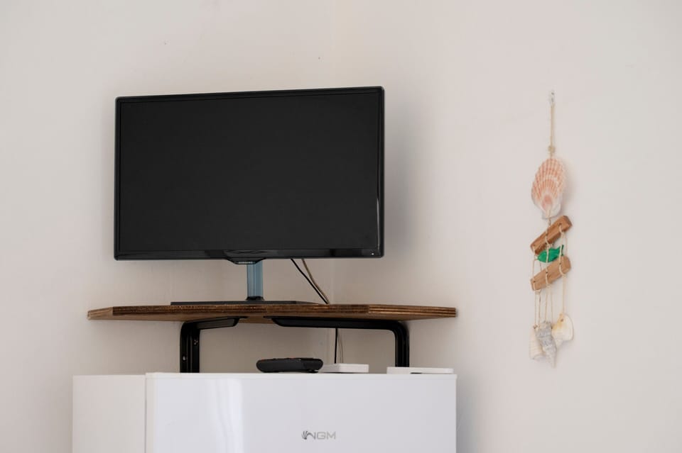 Television