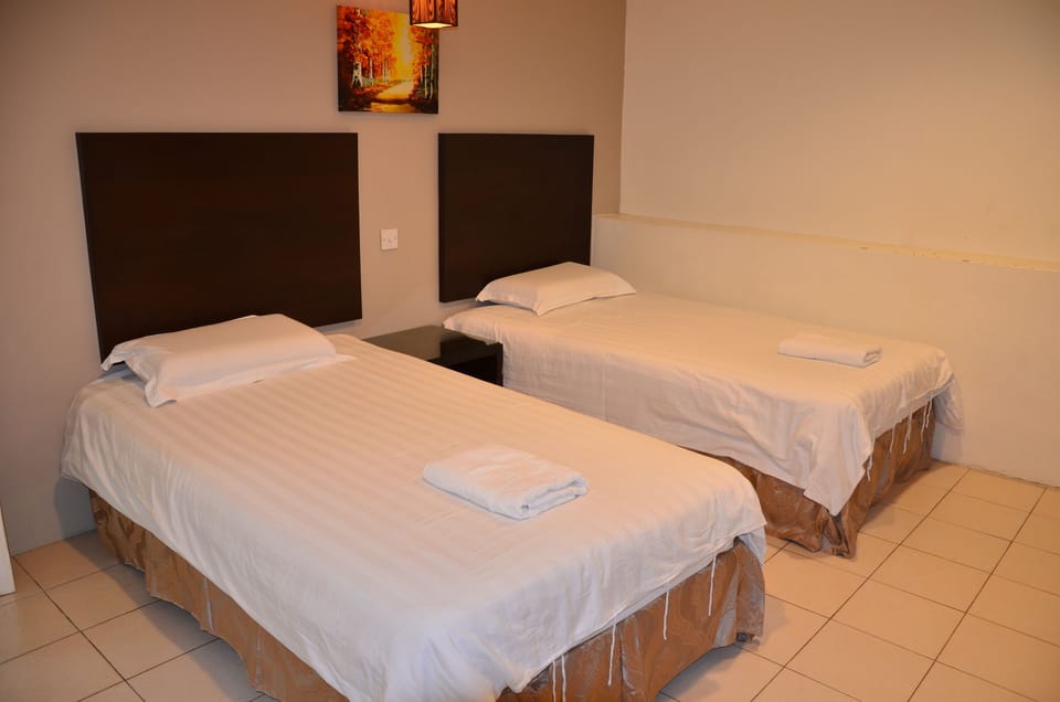 Standard Twin Room | Desk, WiFi (free)