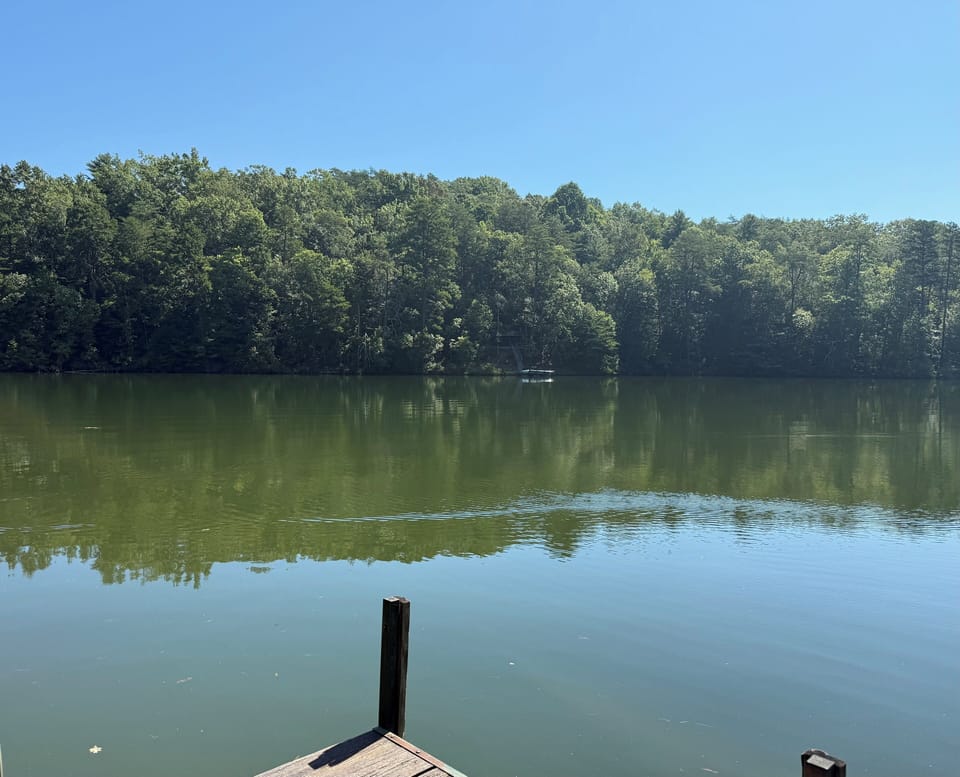 View from Dock