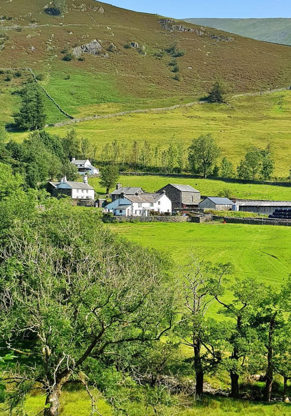 Grass, Mountainous Landforms, Hill, Grassland, Highland, Shrub, Cottage, Rural Area, Land Lot, Human Settlement
