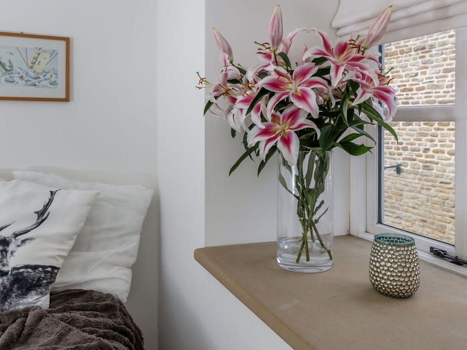 Shade, Mountain Range, Outdoor Structure, Eco Hotel, Deck, Outdoor Furniture, Garden, Chair, Landscaping, Hardwood