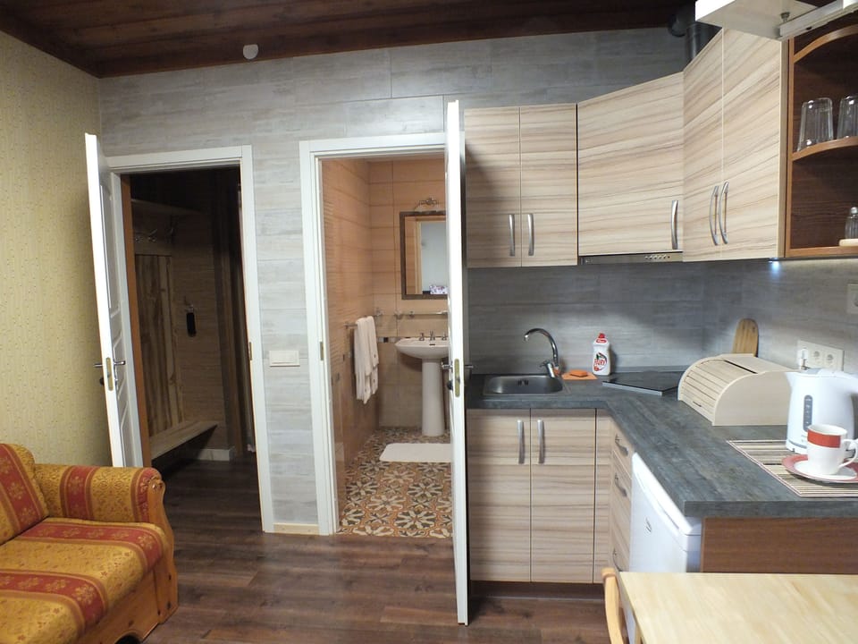 Family Studio, Kitchenette | Private kitchen | Full-size fridge, electric kettle