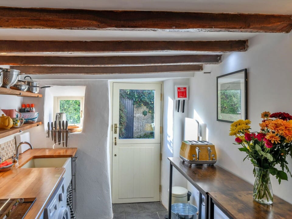 Wall, Wood, Flooring, Home, Furniture, Interior Design, Houseplant, Flowerpot, Ceiling, Wood Stain