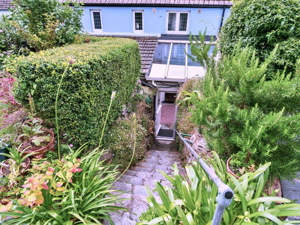 Shrub, Plant Community, Garden, Groundcover, Spring, Landscaping, Backyard, Hedge, Yard