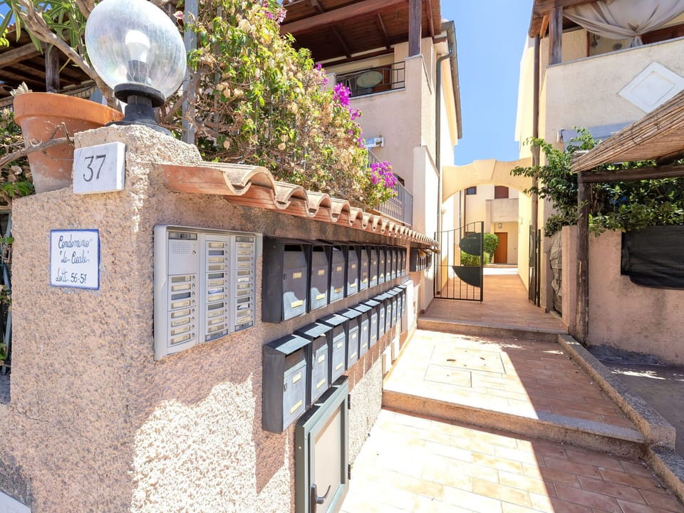 Wall, Door, Concrete, Balcony, Flowerpot, Gate, Houseplant, Driveway, Alley, Courtyard