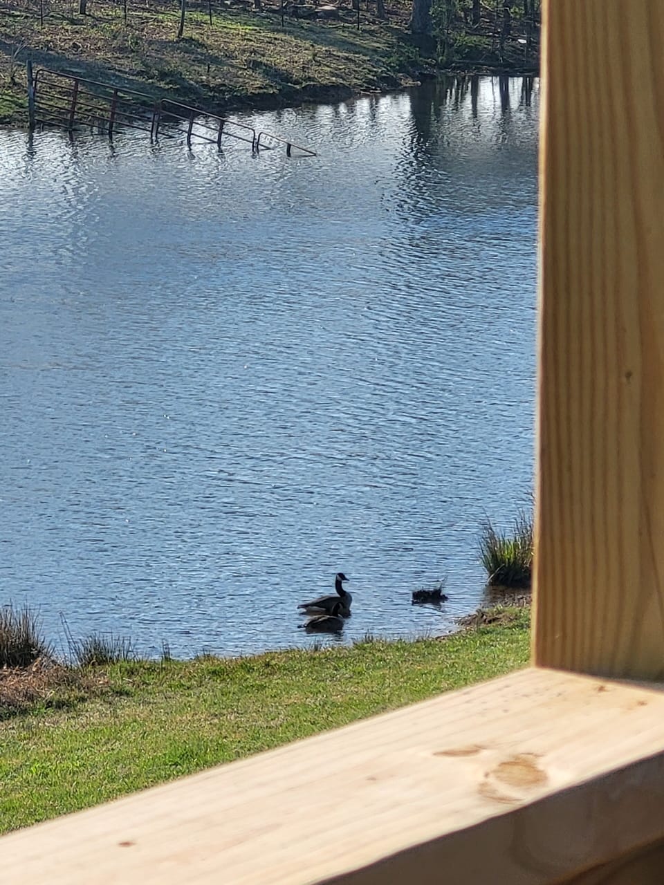 View from property