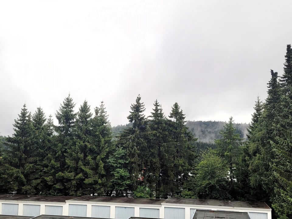 Apartment | View from property