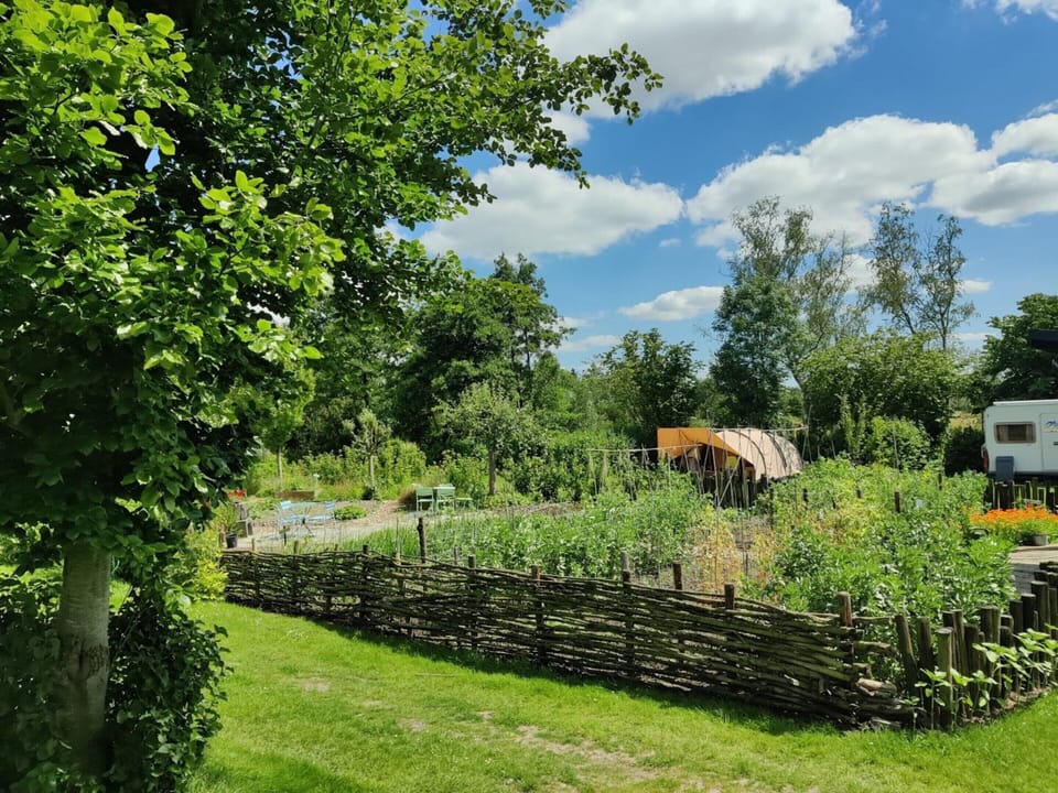 House | Garden