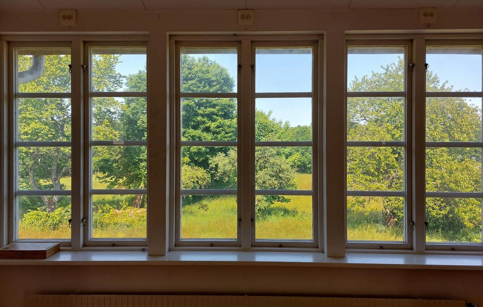 view-from-room