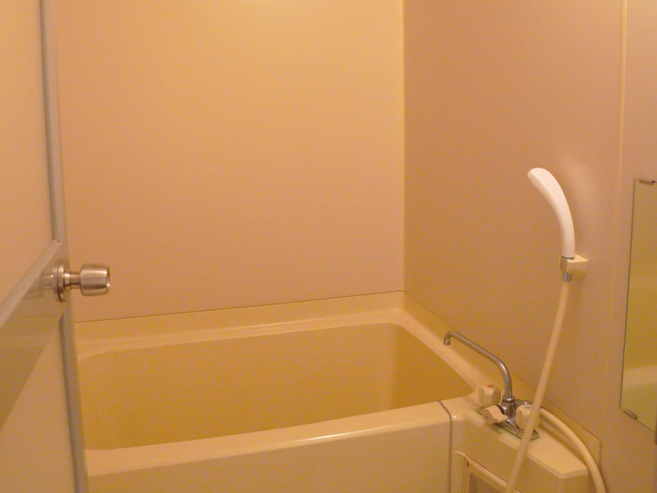 Basic Room, Non Smoking | Bathroom | Separate tub and shower, slippers, towels, soap