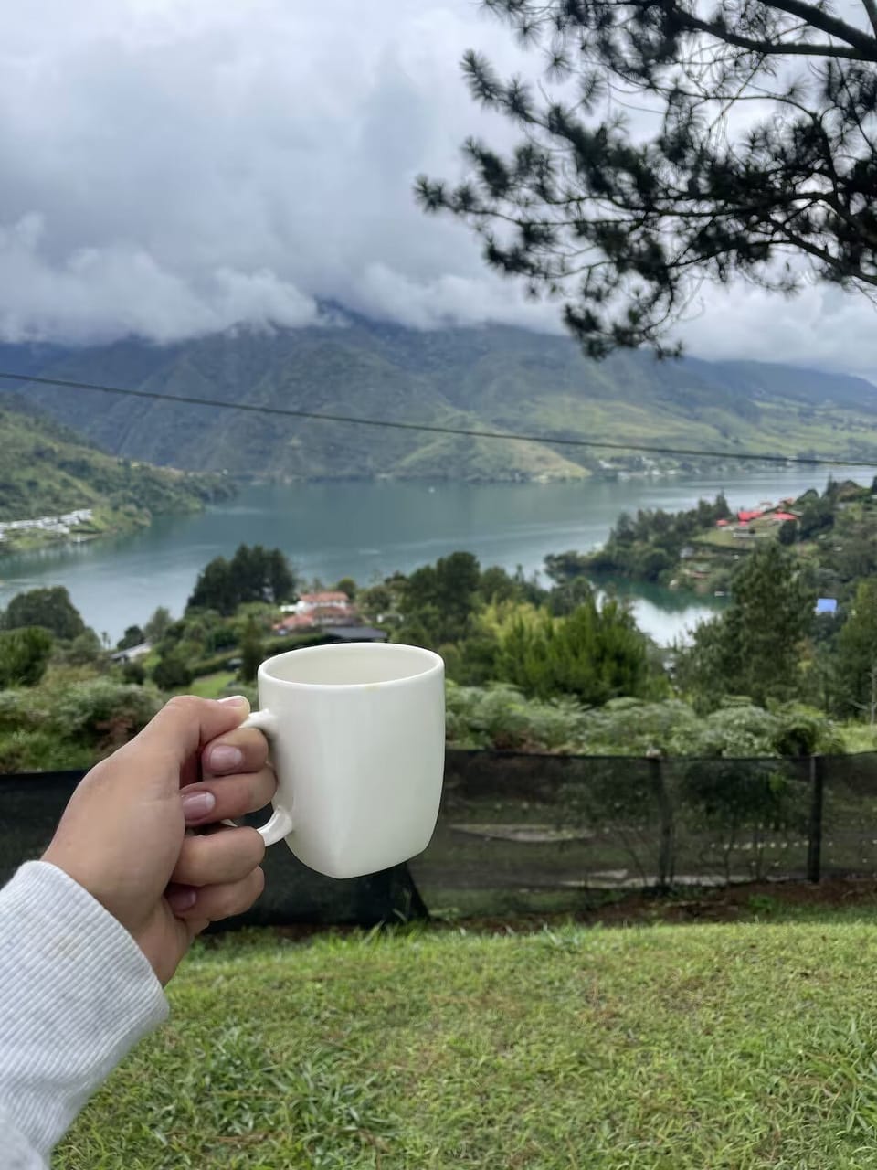 Miscellaneous