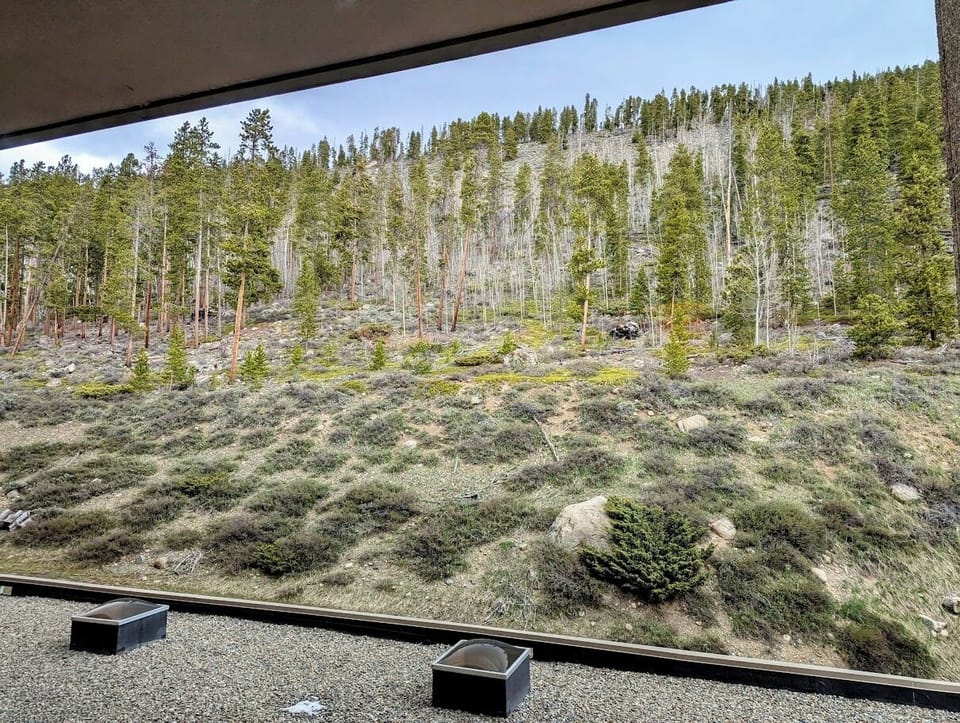 Guest bedroom views #summer