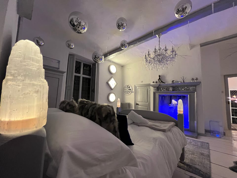 Deluxe Double or Twin Room, 1 Queen Bed, Garden View | Iron/ironing board, free WiFi