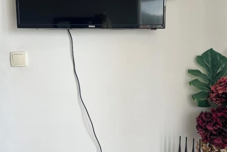 Television