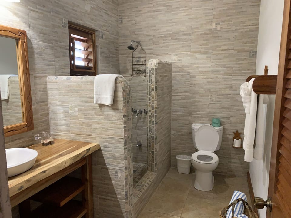 Deluxe Room, 1 King Bed, Ocean View | In-room safe, iron/ironing board, WiFi (free), individually decorated