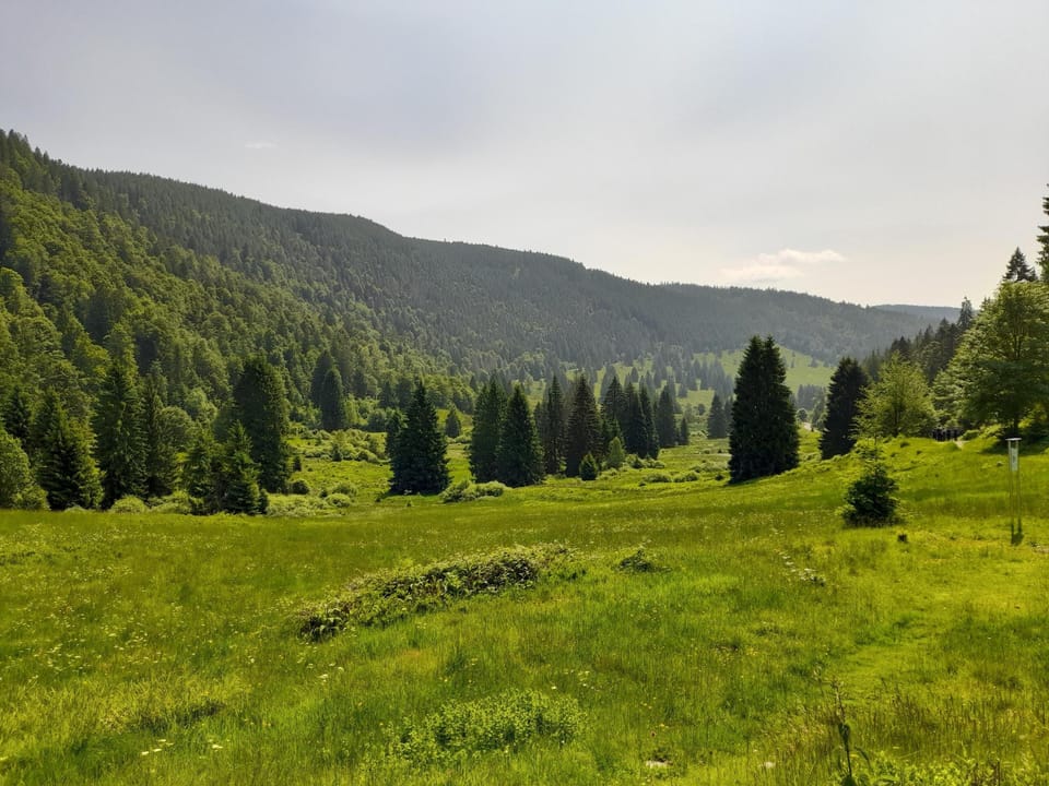 Immediate Surroundings [summer] (<1 km)