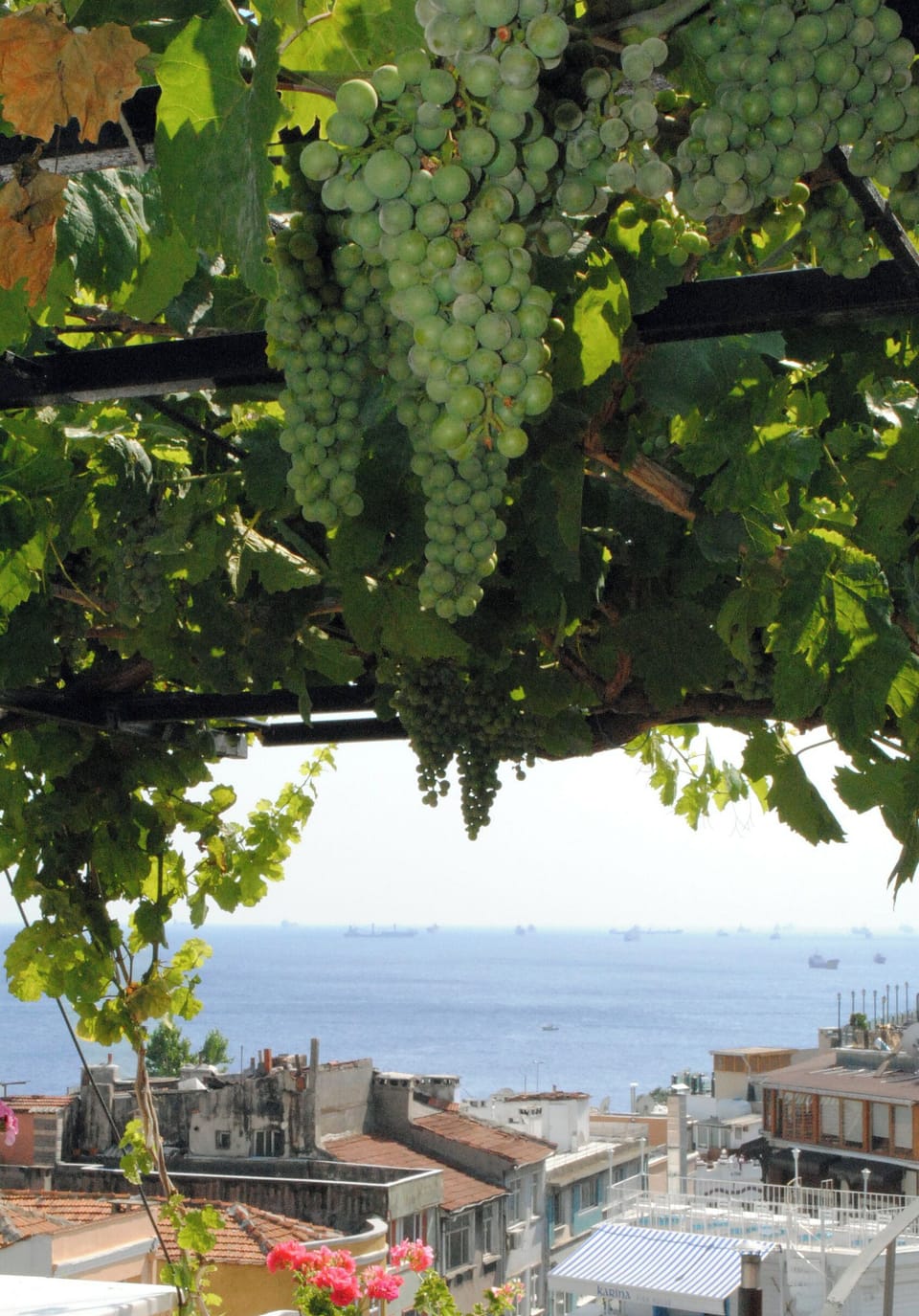 Rooftop terrace
