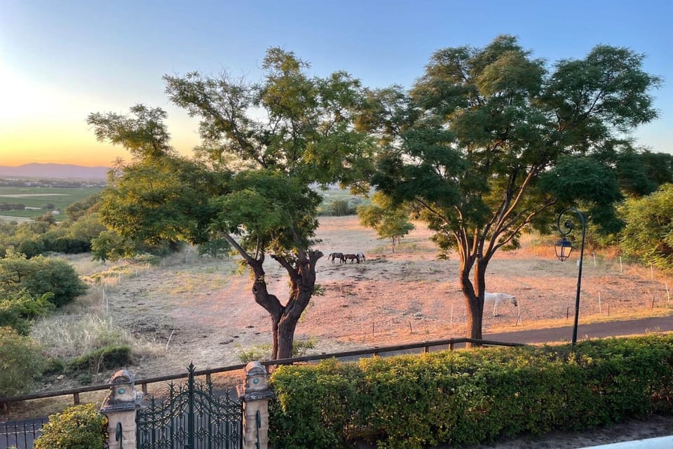 View from Holiday Home [summer]