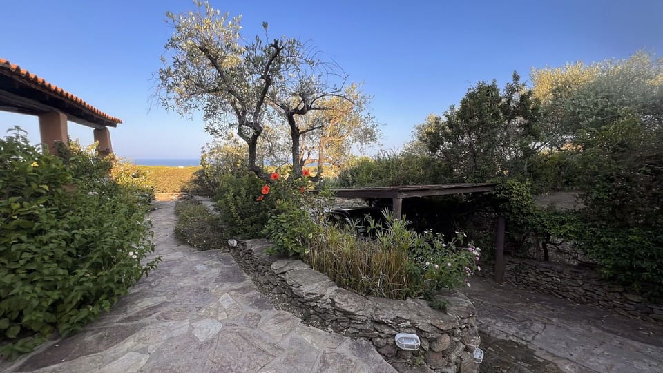 Autumn, Garden, Spring, Summer